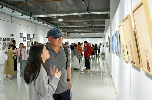 光影定格青春，昆明城市學院攝影專業畢業展呈現視覺盛宴