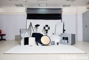 探索專業(yè)攝影服務(wù)的多樣世界