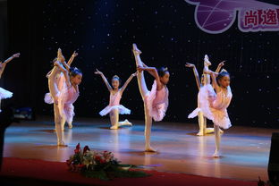 專業(yè)攝影攝像服務(wù)，定格新會(huì)最美瞬間